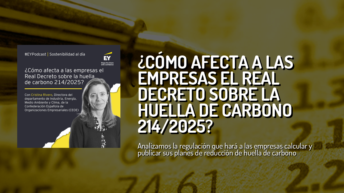 ¿Cómo afecta a las empresas el Real Decreto sobre la huella de carbono ...