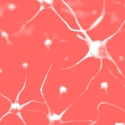 Fascinado con las neuronas artificiales 