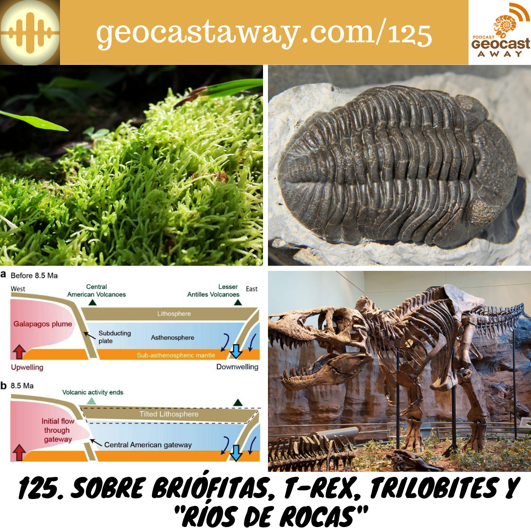 125. Sobre Briófitas, T. rex, Trilobites y "Ríos de Rocas" episode artwork