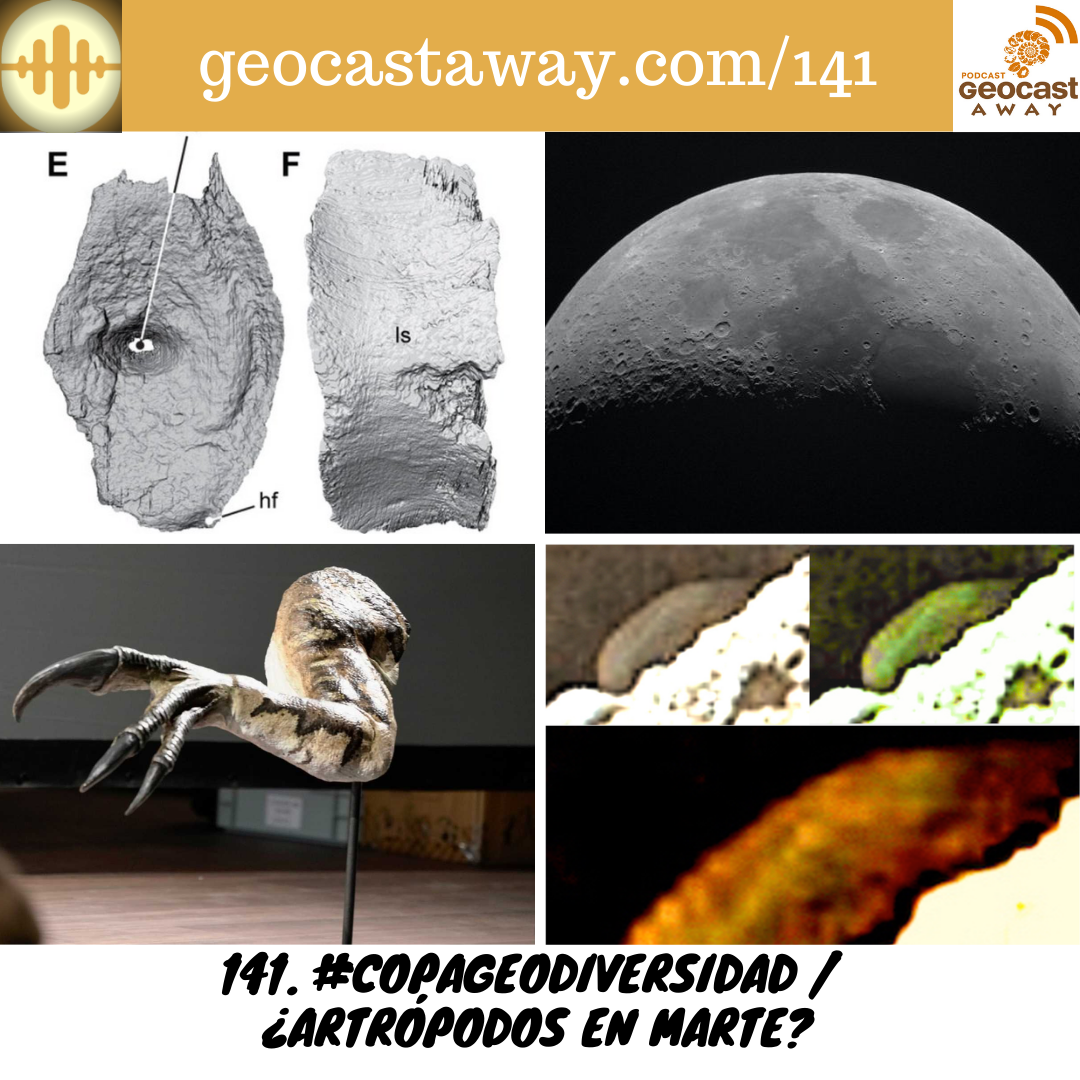 GeoCastAway
