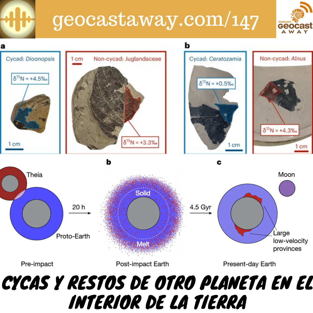 147. Cycas y Restos de otro planeta en el interior de la Tierra episode artwork