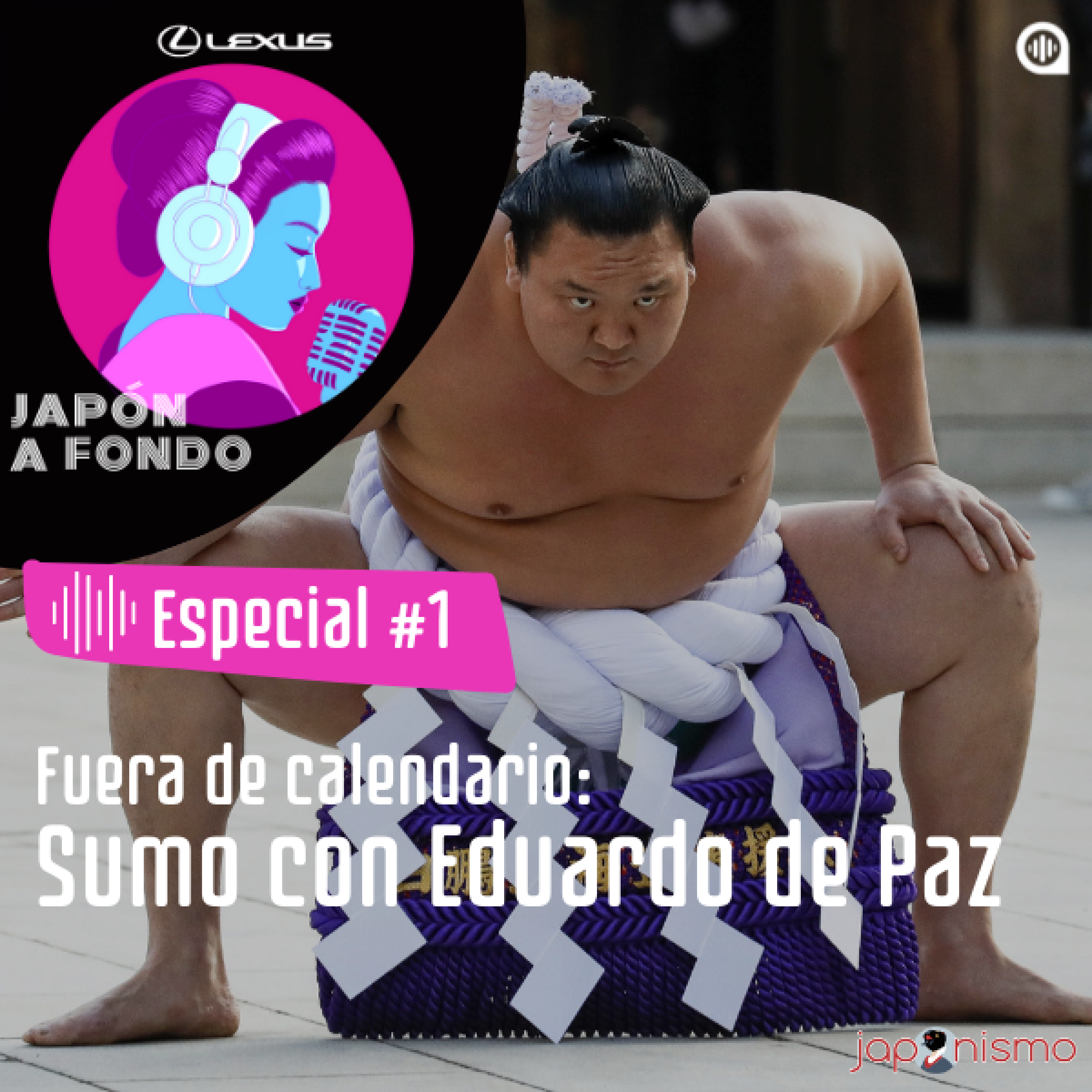 Japón a fondo