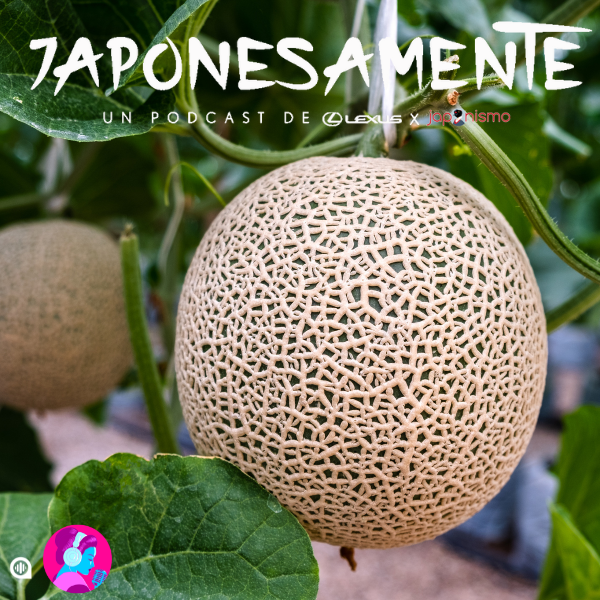 Japón a fondo