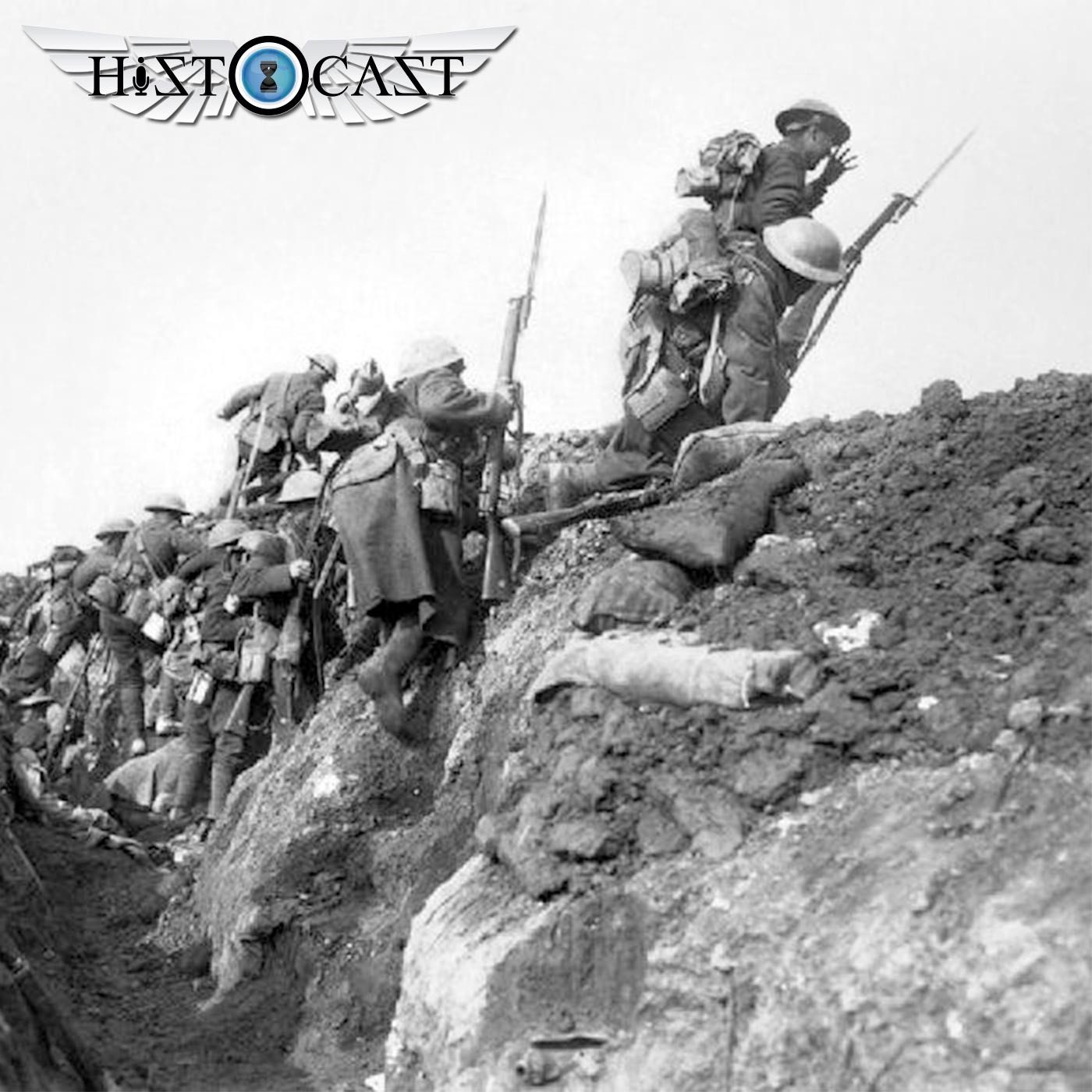 Histocast