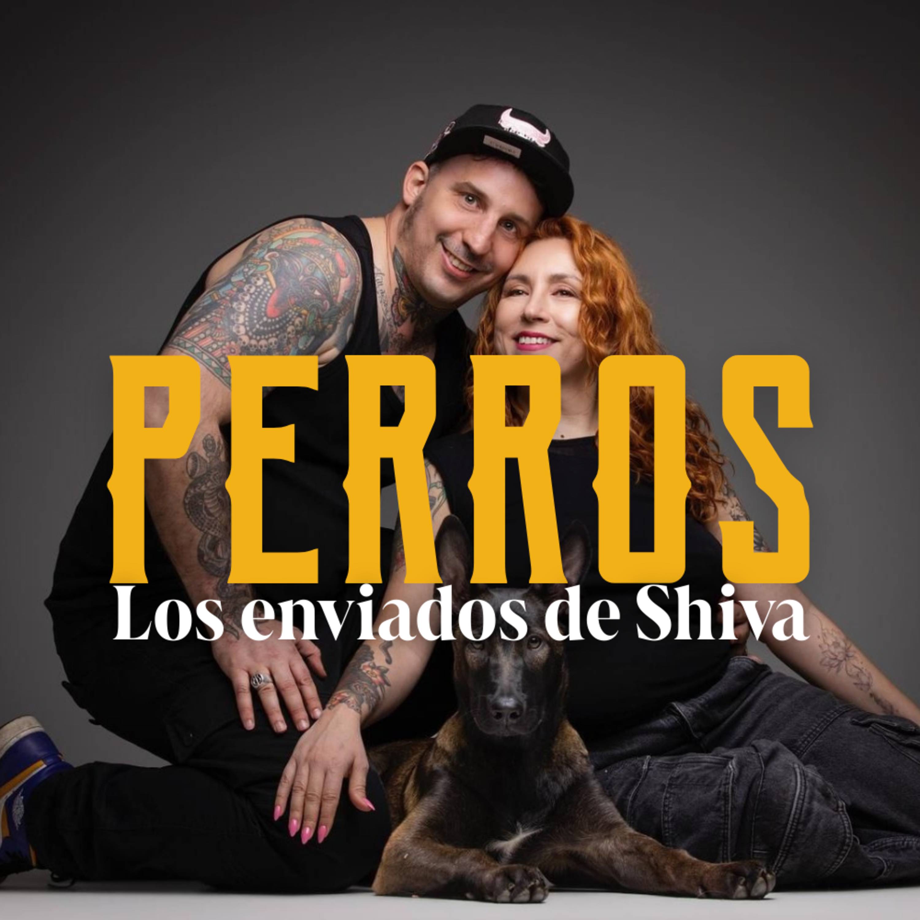 Portada de Tantra Shivaita