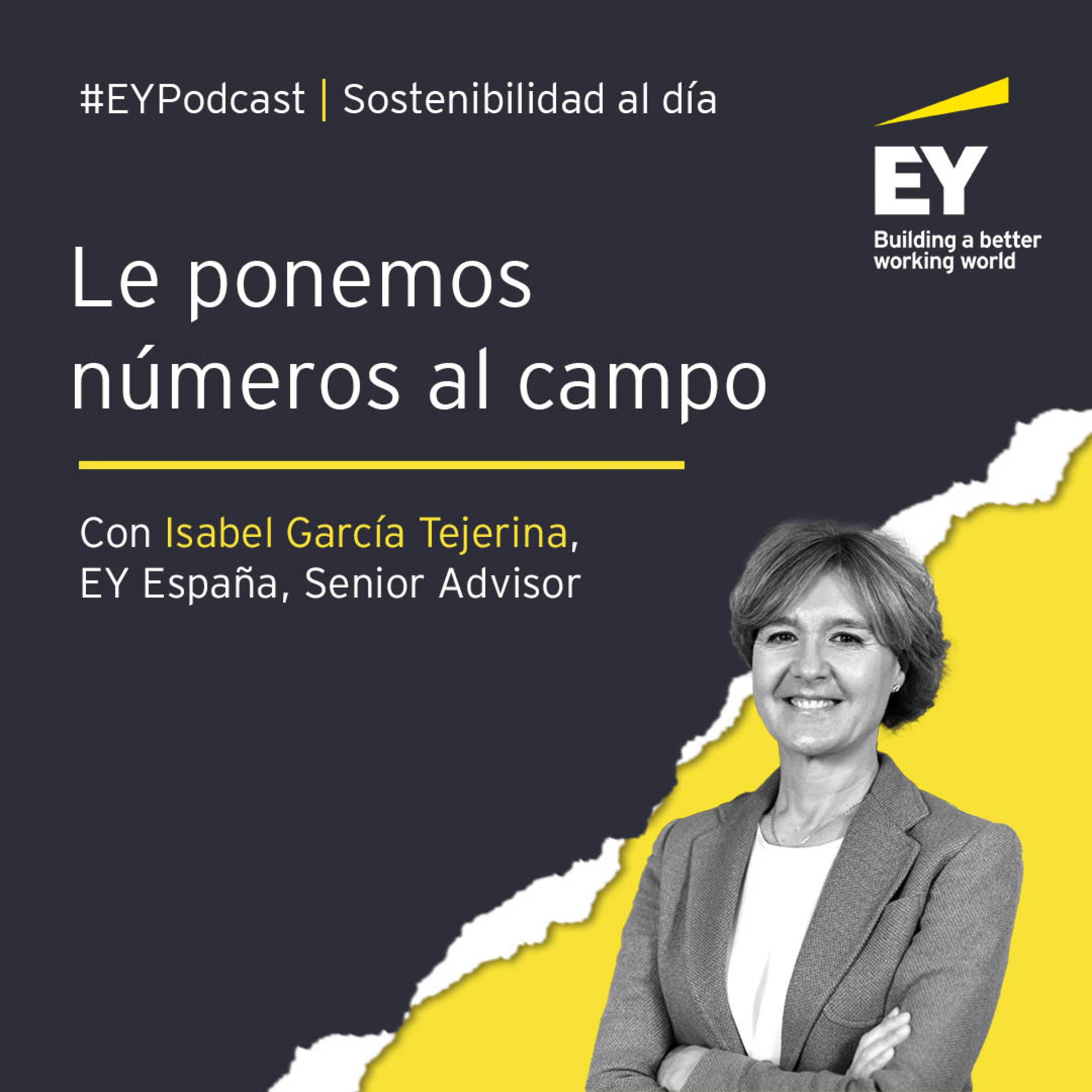 Portada de Sostenibilidad al día, con EY