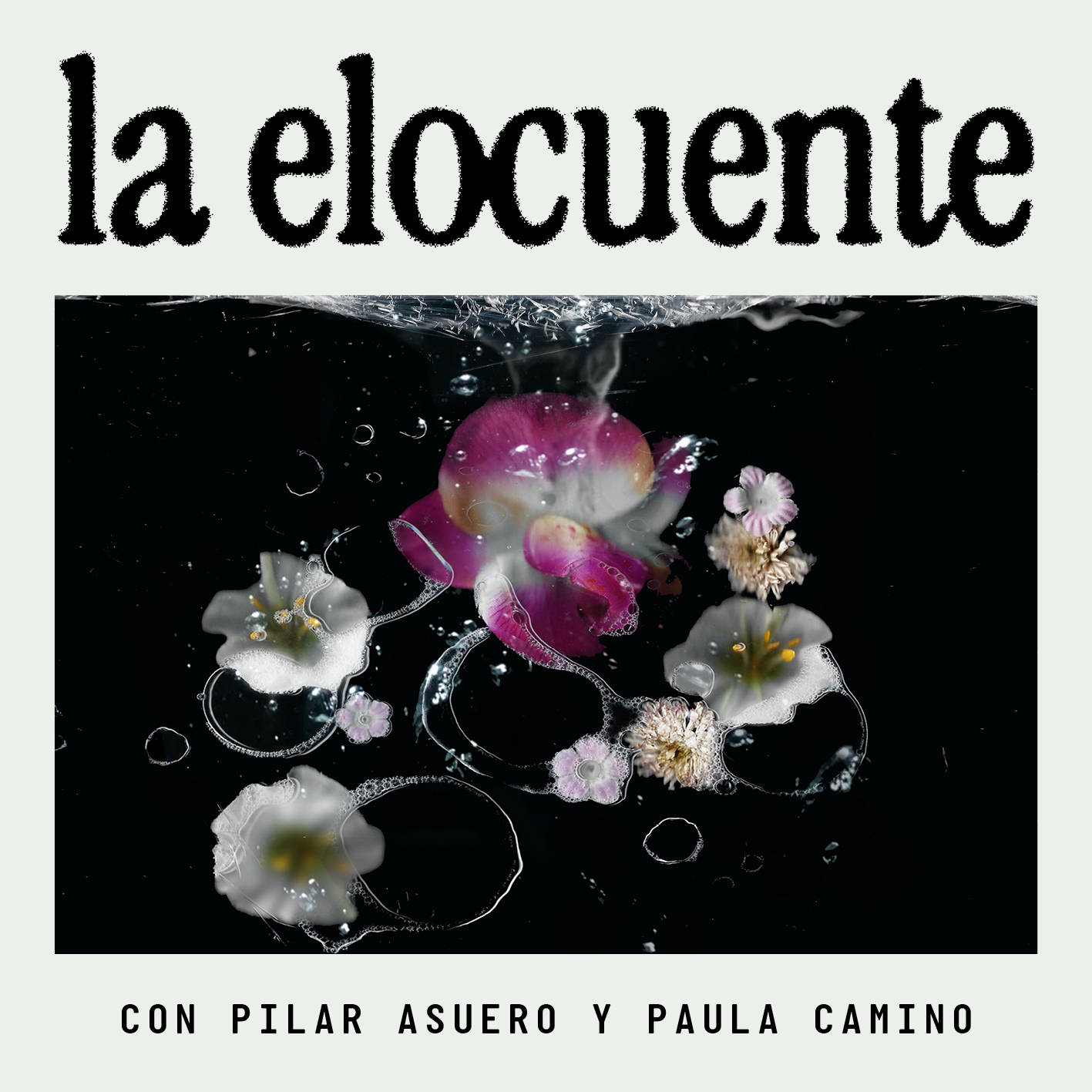 La elocuente