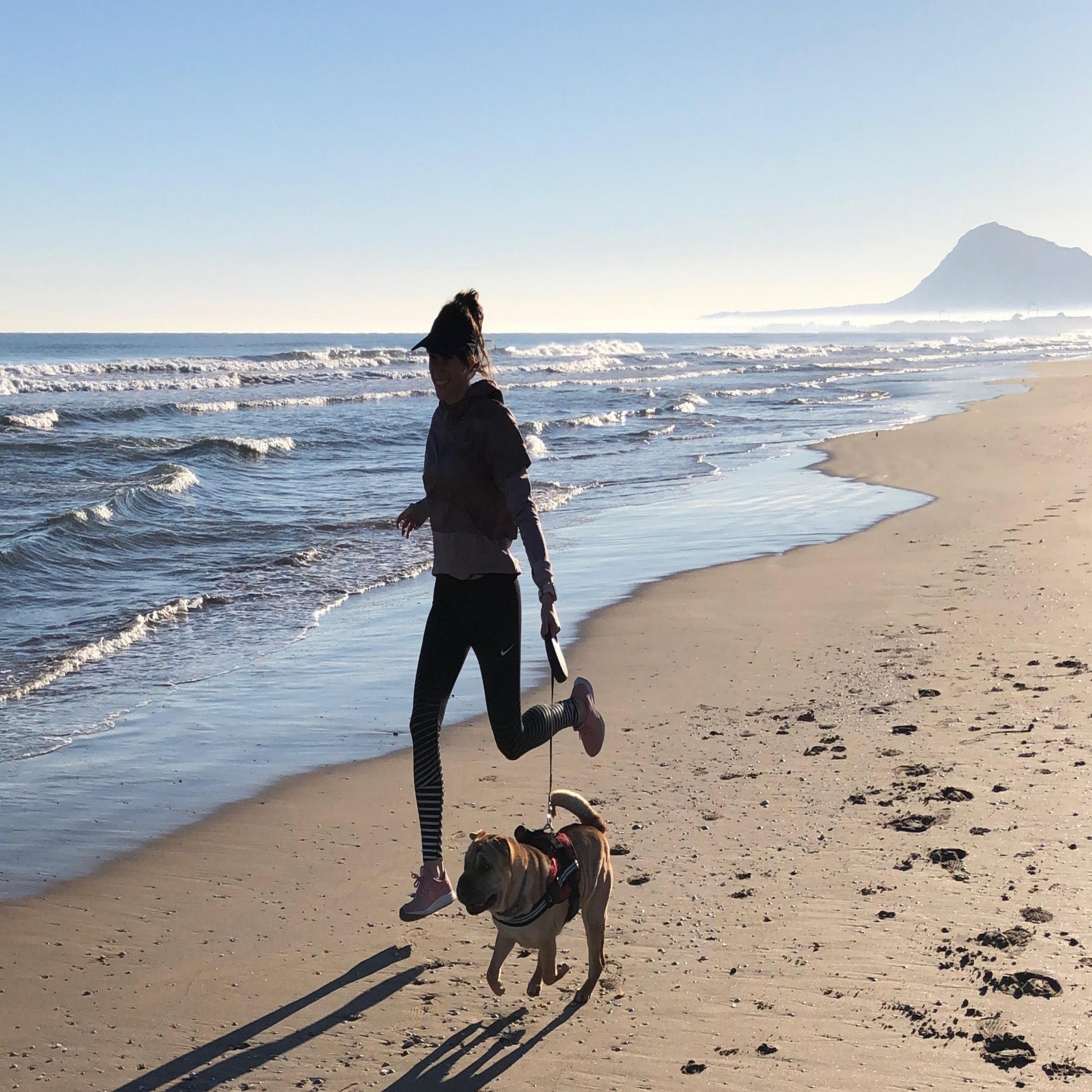 ¡Rocky cumple 5 años!