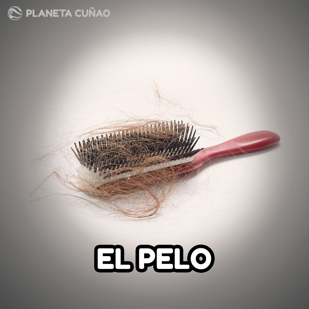 El pelo