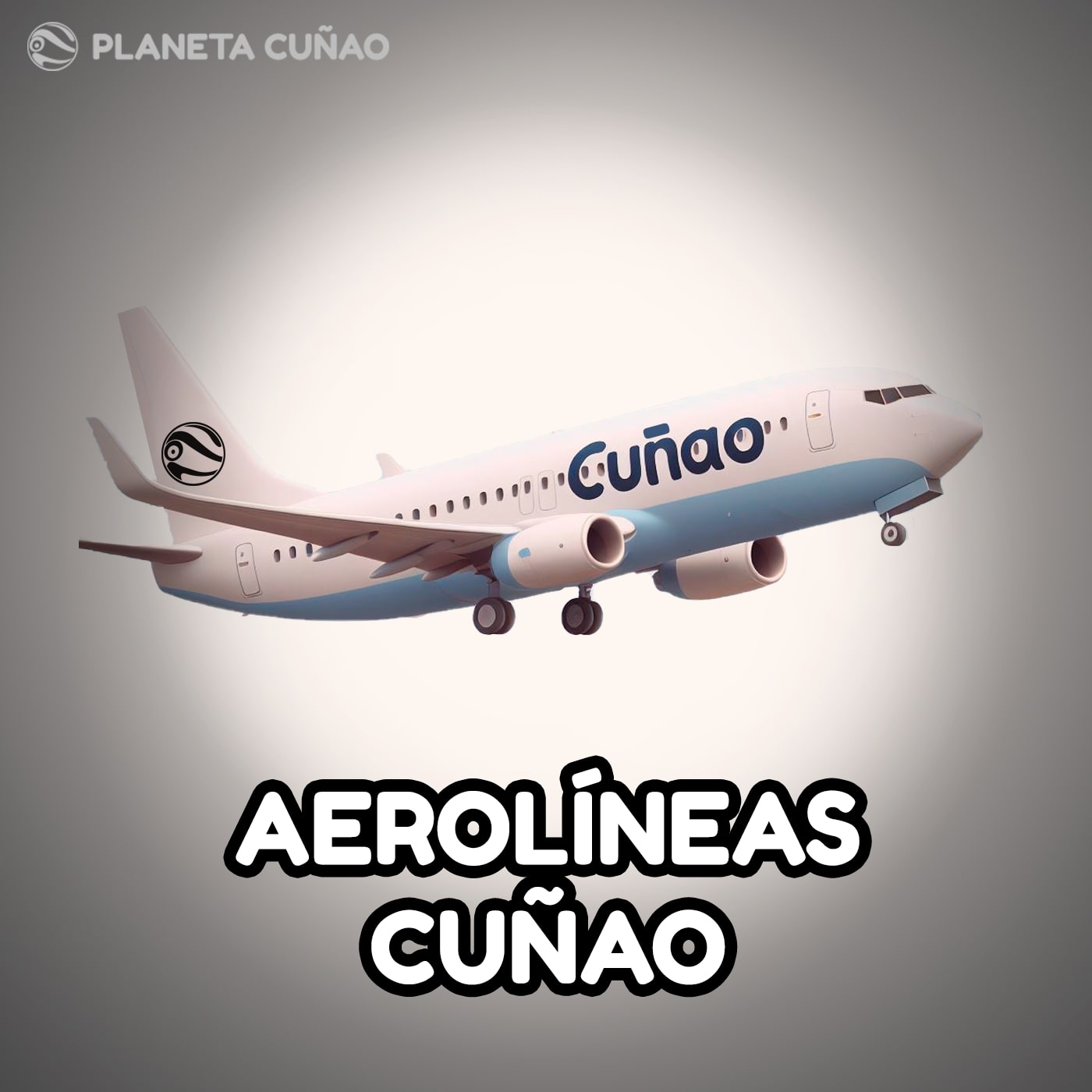 Aerolíneas Cuñao