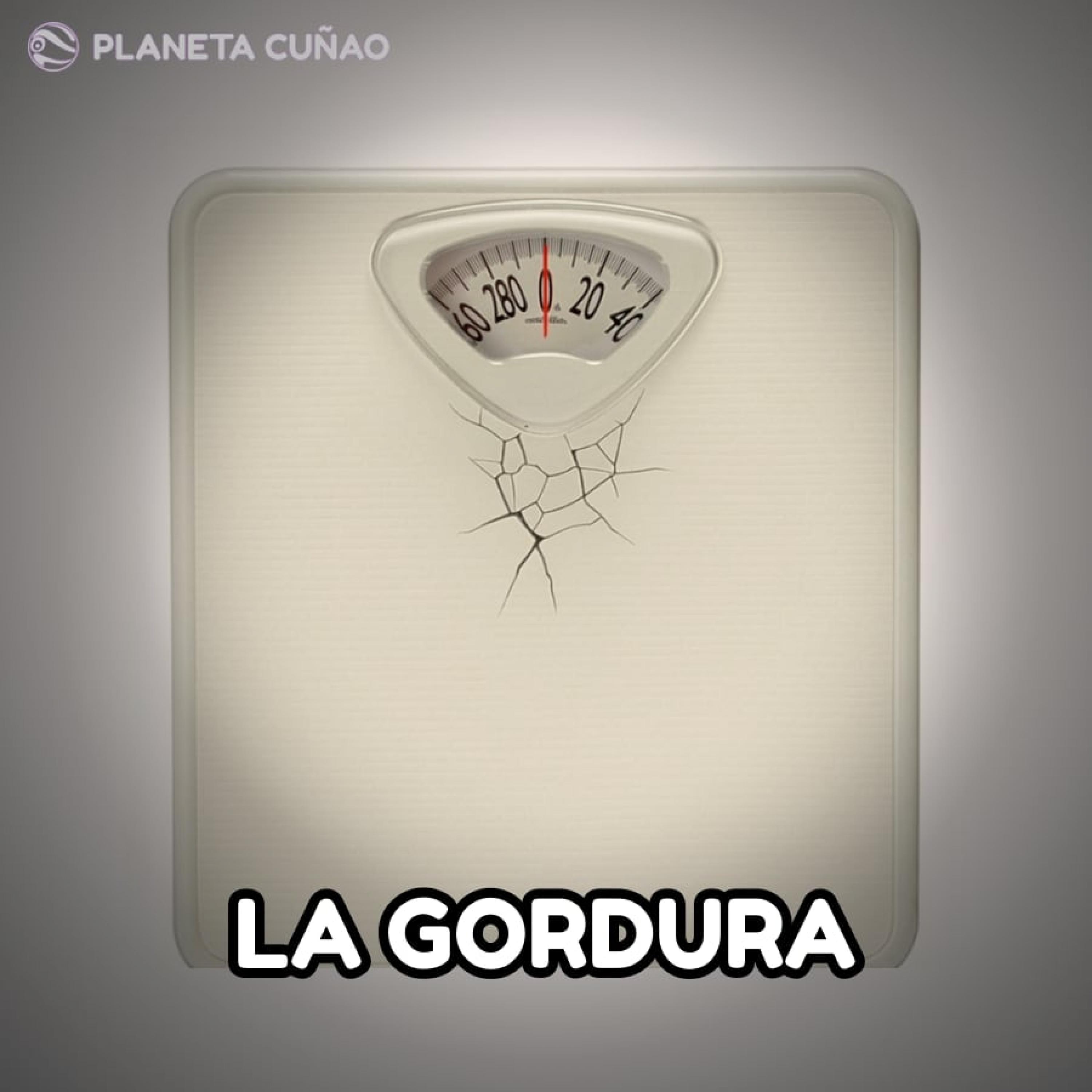 La gordura