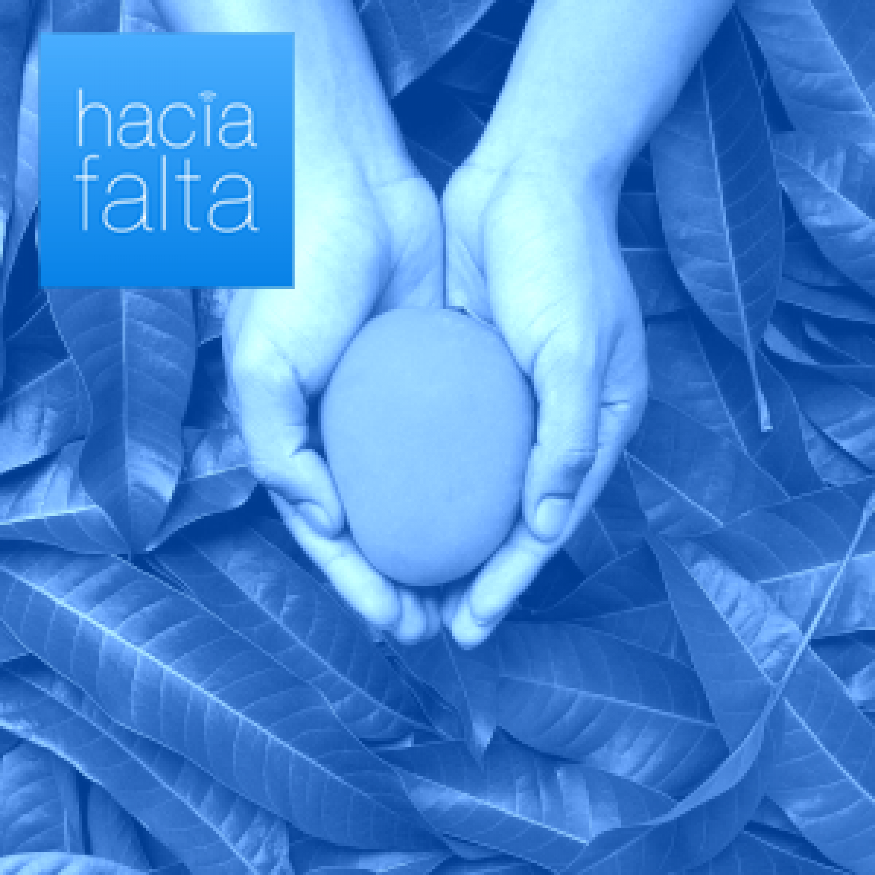 Hacía Falta
