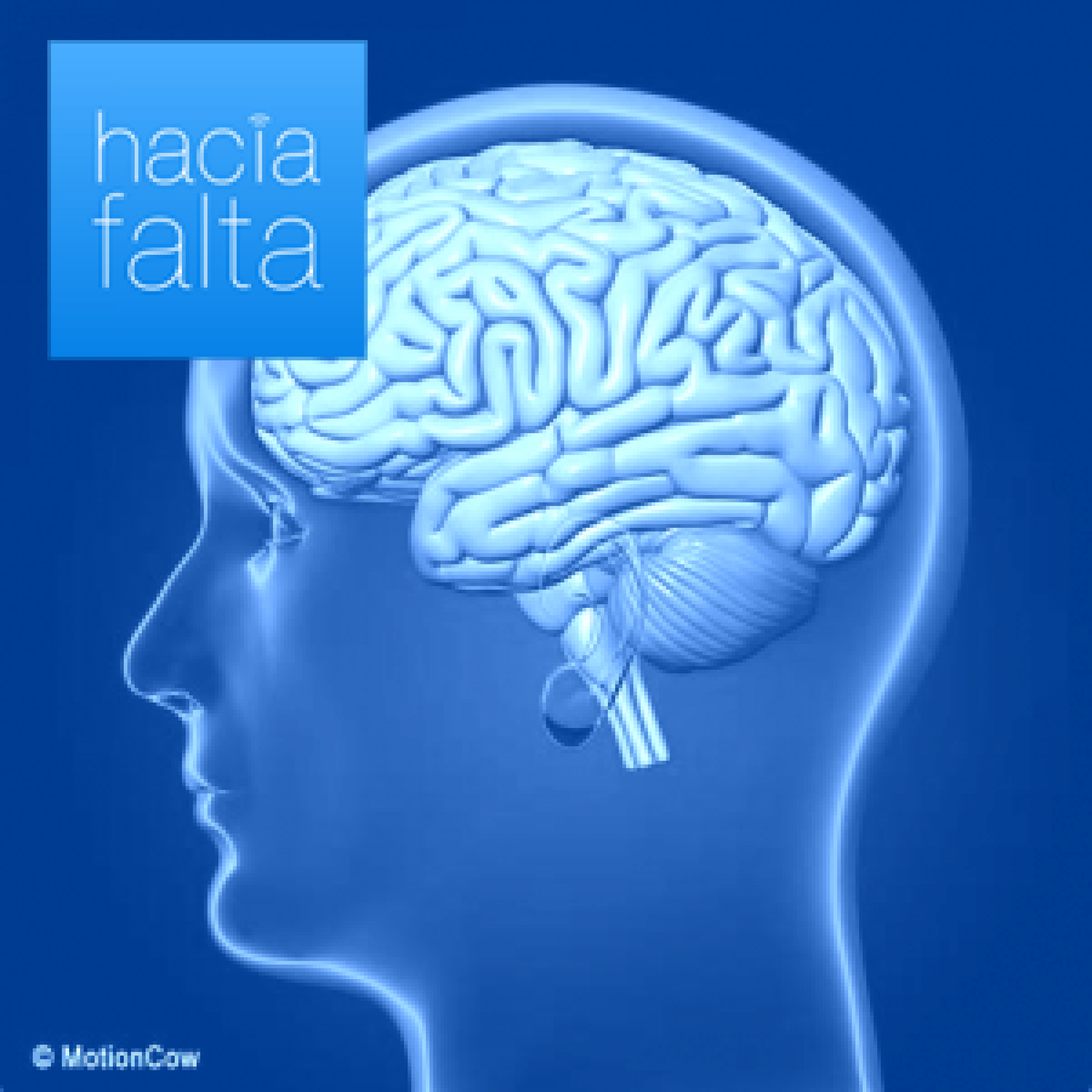Hacía Falta