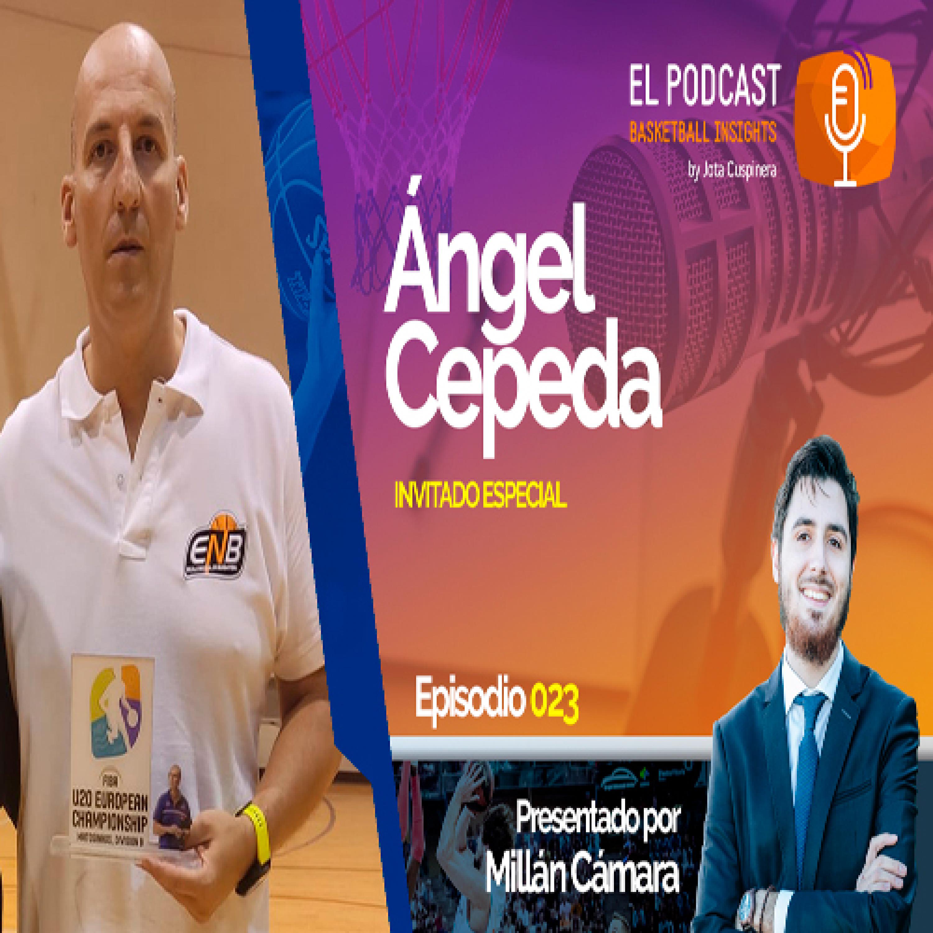 Basketball Insights