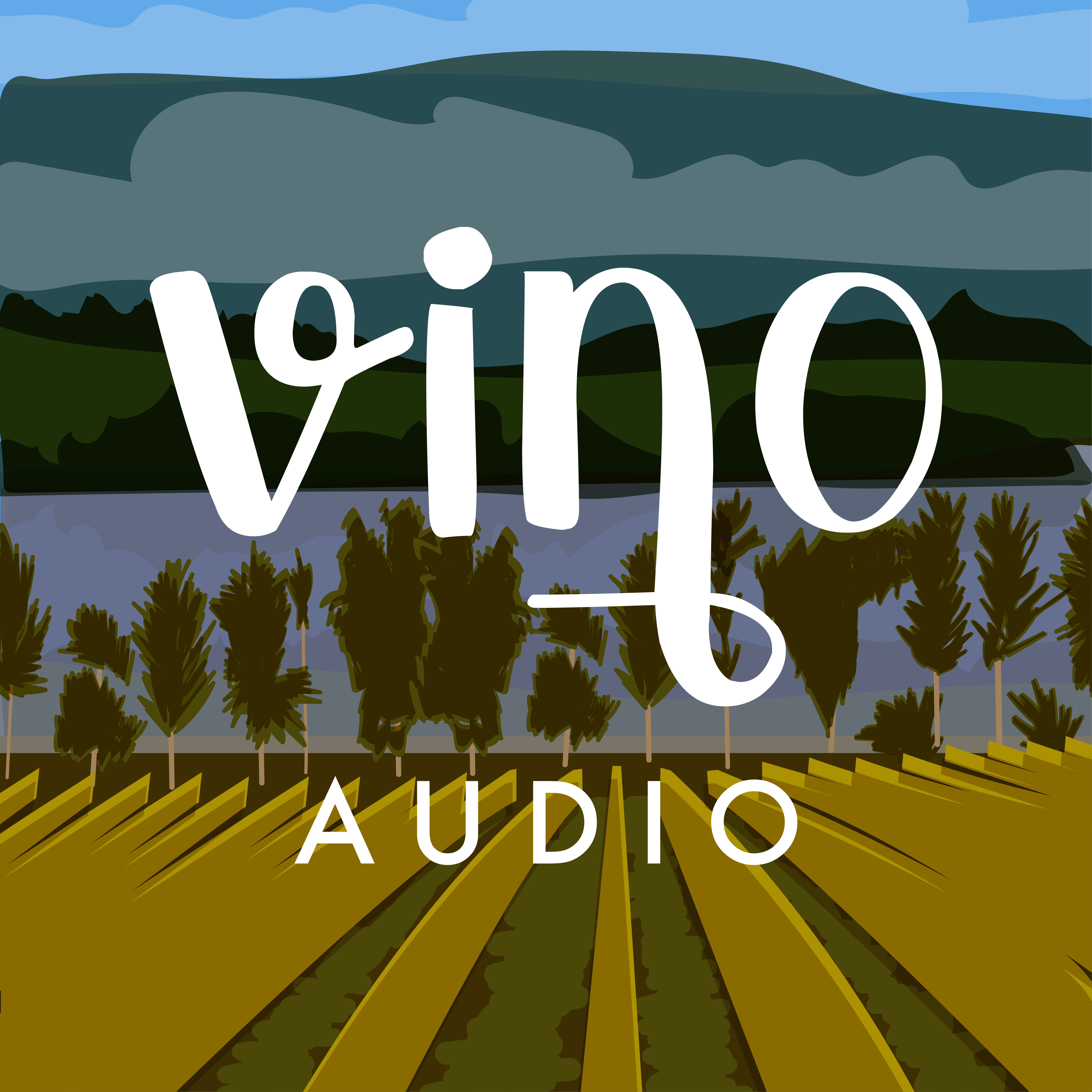 VINOAUDIO